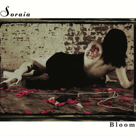 Bloom CD