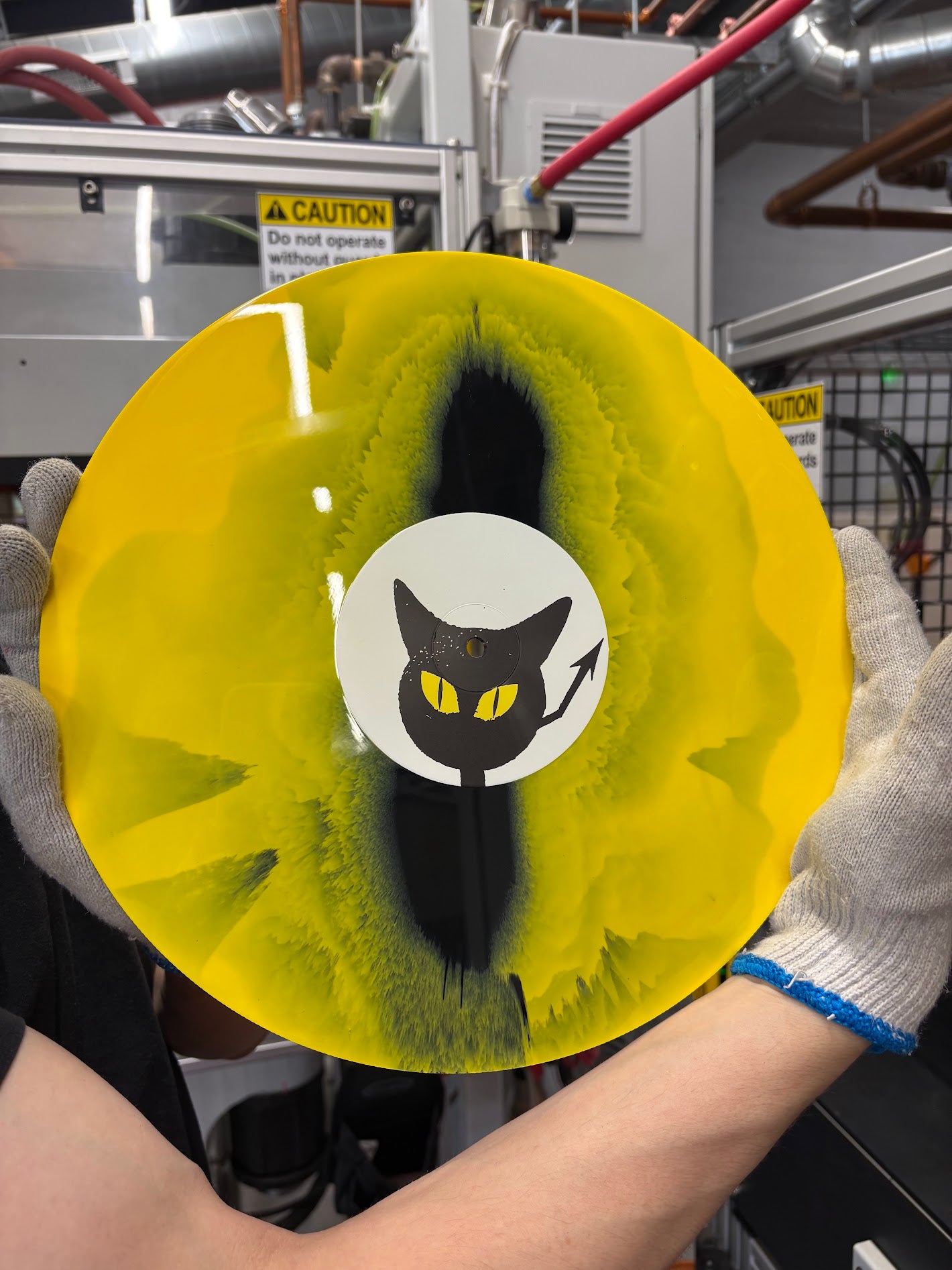 PREORDER "Confessions From The Vena Cava" EP on Cat's Eye Vinyl (Limited-Run)